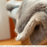 Indulge in the ultimate luxury with the One Preevay Silver Gray Sable Faux Fur Throw. Crafted from ultra-soft faux sable fur and lined with elegant velvet, this 950gsm, hypoallergenic throw is designed to provide warmth and sophistication. Perfect for adding a touch of elegance to any room. 50x60., Elevate your space with One Preevay's Breakfast at Tiffany's Inspired Sable Faux Fur Throw - ultra-soft, 950gsm, silver gray, and 50x60 inches. Timeless elegance meets comfort.