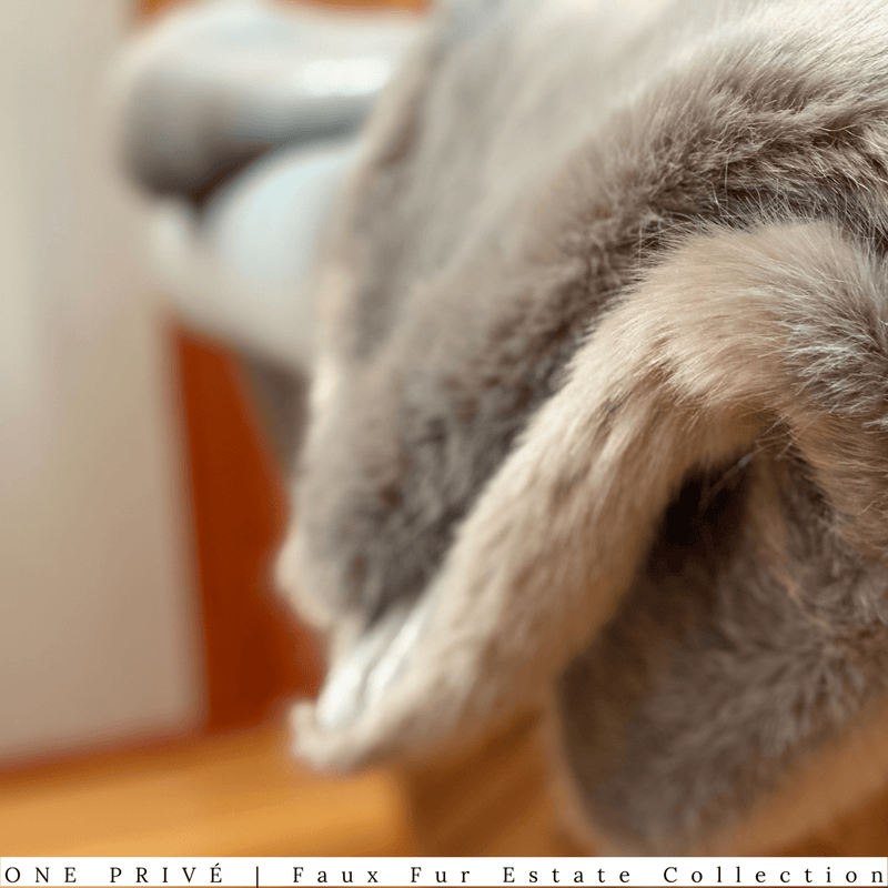 Indulge in the ultimate luxury with the One Preevay Silver Gray Sable Faux Fur Throw. Crafted from ultra-soft faux sable fur and lined with elegant velvet, this 950gsm, hypoallergenic throw is designed to provide warmth and sophistication. Perfect for adding a touch of elegance to any room. 50x60., Elevate your space with One Preevay's Breakfast at Tiffany's Inspired Sable Faux Fur Throw - ultra-soft, 950gsm, silver gray, and 50x60 inches. Timeless elegance meets comfort.