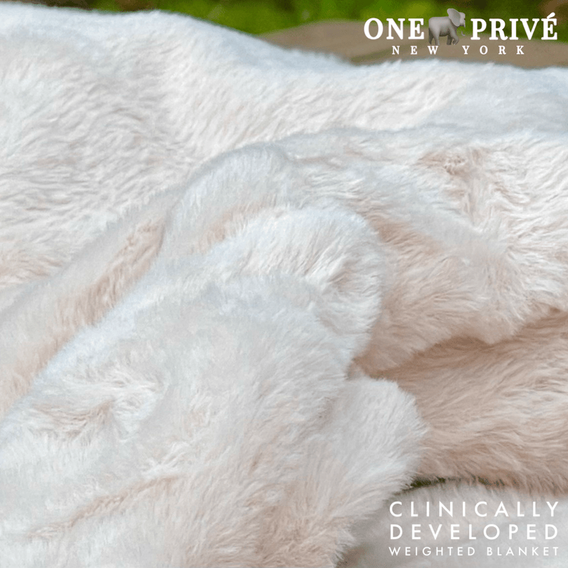 World's First Weighted Double Sided Faux Rabbit Fur Blanket | Botero Collection | Queen (60x80) 20 lbs