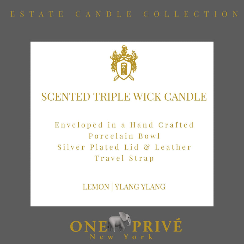 Lemon Ylang Ylang Luxury Candle - Porcelain Bowl & Silver Enclosure-Triple Wick - One Preevay